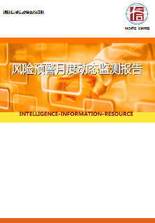风险预警月度动态监测报告