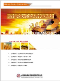 陕西省同业对公业务竞争监测报告